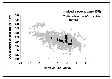 mor6.gif